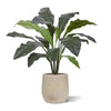 Anthurium Jungle King kunstplant Deluxe 130cm