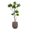 Heliotropium Kunstplant 155cm
