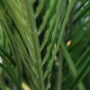 Areca Kunst Palm Deluxe XL 150cm