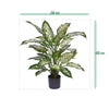 zijdeplanten nep kunstplanten