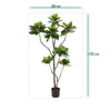 zijdeplanten kunstplanten zijde