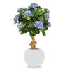 zijdeplanten kunstplanten nepplanten