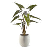 Alocasia Sarian kunstplant 140cm