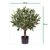 zijde olijfboom kunstboom zijdeplanten zijde