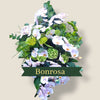 rouwbloemen orchidee
