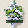 rouwbloemen orchidee