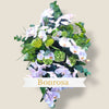 rouwbloemen orchidee