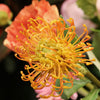 Zijde bloemen kunst bloemen silk