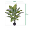 zijdeplanten kunstplanten nep