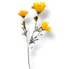 zijdebloemen zijdebloem
