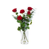 Boeket Rode rozen "red dream"