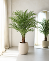 Areca Kunst Palm Deluxe XL 150cm