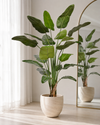 Strelitzia Nicolai Kunstplant 230cm Deluxe