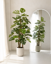 Monstera kunstplant Deluxe klimplant 120cm
