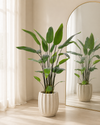 Water Canna Kunstplant 120cm