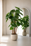Alocasia Calidora deluxe kunstplant 165cm FR