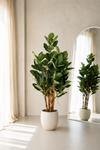 Ficus Audrey Kunstboom Deluxe 120cm