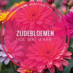 Waarom moderne zijdebloemen bijna niet meer van echt te onderscheiden zijn