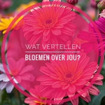 De geheime psychologie van bloemen wat je boeket over jou zegt