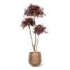 kunstplanten zijdeplanten 