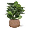 kunstplanten zijdeplanten grote kunstplanten