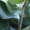 grote kunstplanten kunstplanten