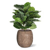kunstplanten grote kunstplanten