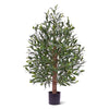 zijde planten
