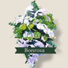 rouwbloemen orchidee