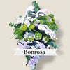 rouwbloemen orchidee
