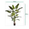 zijdeplanten kunstplanten nepplanten