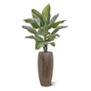 zijdeplanten nep planten kunstplanten