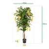 zijdeplanten kunstplanten nepplanten