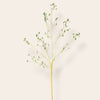 Bonrosa exclusive flowers decoratieve kunsttak met fijne groene blaadjes en realistische stam voor interieurdecoratie