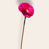 Bonrosa exclusive flowers luxe zijden klaproos in diep magenta met realistische textuur en lange steel