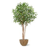 Beuken deluxe kunstboom 350cm - FR - brandvertragend