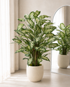 Dieffenbachia Kunstplant 110cm Deluxe