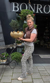 Schaal metaal goud lotus