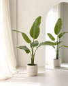 Strelitzia Nicolai kunstplant 90cm