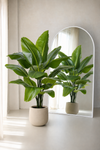 Strelitzia Nicolai XL Kunstpalm 125cm