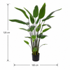 Water Canna Kunstplant 120cm