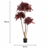 Japanse Kunst Acer Bonsai Deluxe 180cm Burgundy