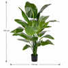 Strelitzia Nicolai XL Kunstpalm 155cm