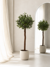 Olijf Kunstboom op stam 120cm UV in pot
