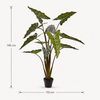 Alocasia Sarian kunstplant 140cm